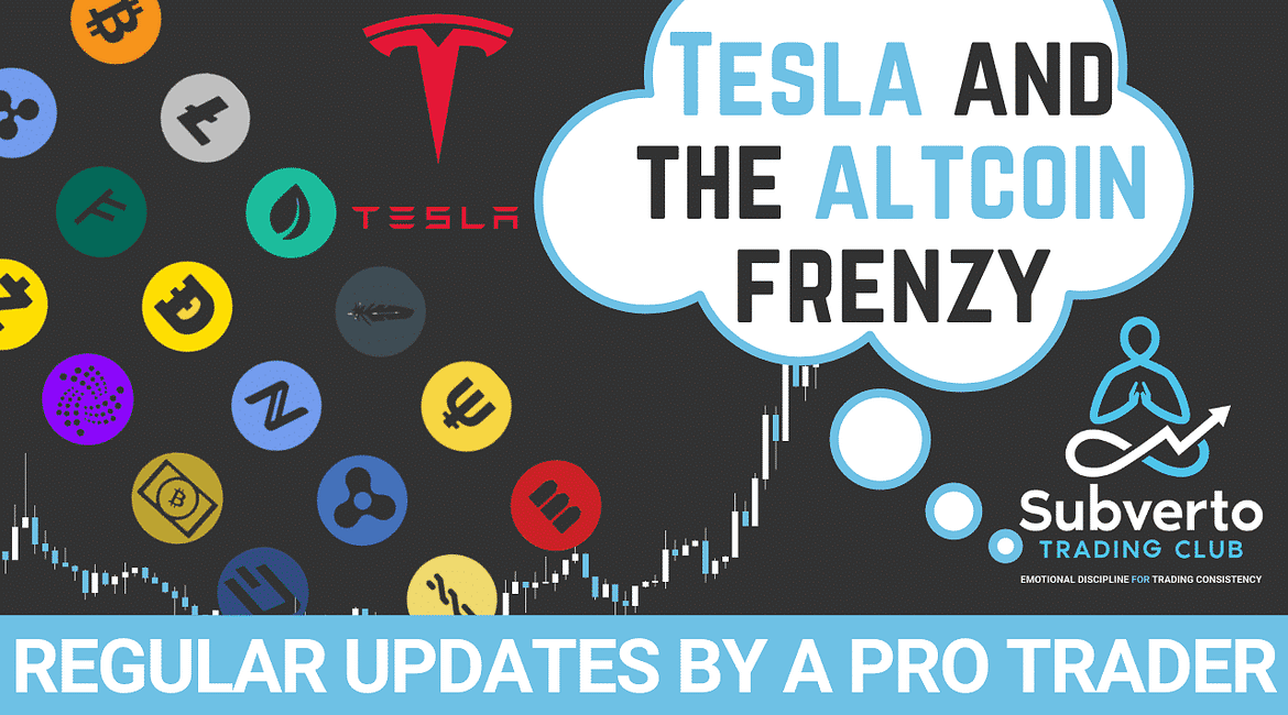 Tesla and the Altcoin Frenzy